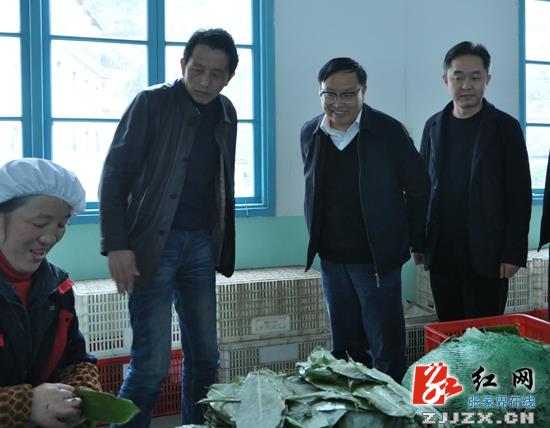 武吉海深入桑植县调研新兴产业发展情况
