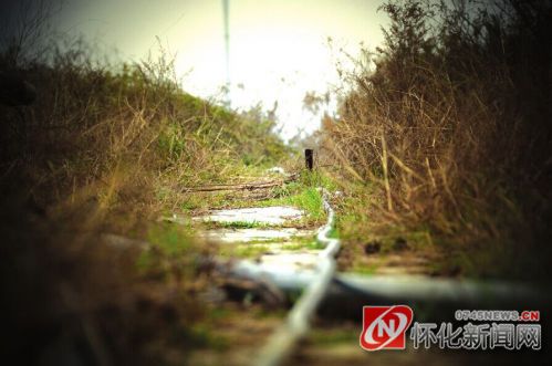 顺天桥桥面上仅有一条踩出来的小路，杂草丛生，残破不堪，陪伴它的只有建筑工地伸入太平溪的引水胶管。