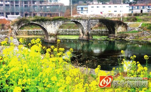 春天来了，太平溪两岸油菜花开到荼蘼，可是顺天桥的春天在哪里？