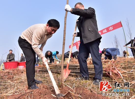 助力森林城市创建 张家界市领导带头义务植树