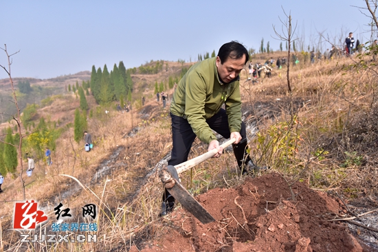 助力森林城市创建 张家界市领导带头义务植树