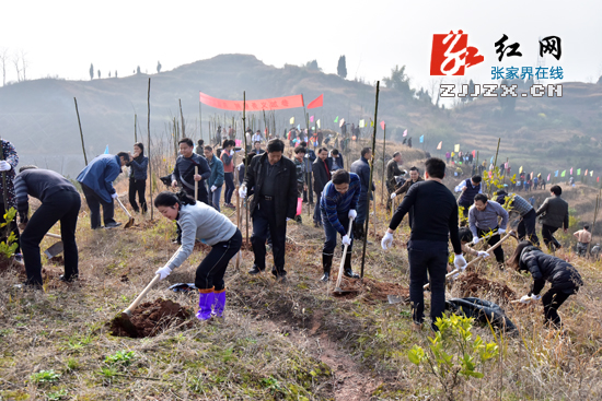 助力森林城市创建 张家界市领导带头义务植树