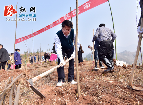助力森林城市创建 张家界市领导带头义务植树