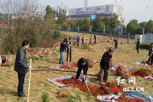 湘潭大学领导和志愿者们正在植树