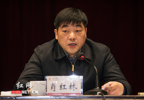 湖南省残联理事长肖红林在大会上作工作报告。