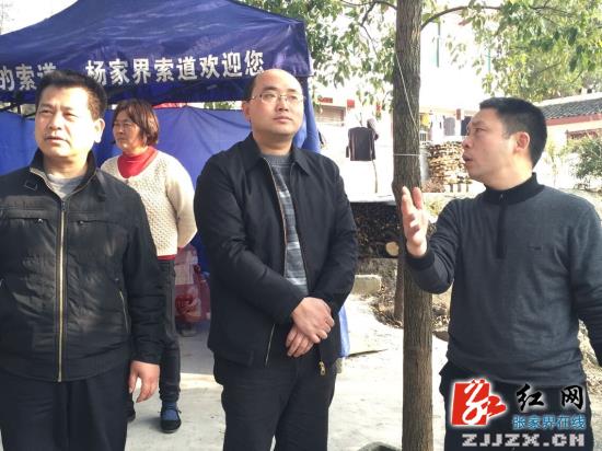 永定区：尚生龙检查张清公路沿线绿化美化工作