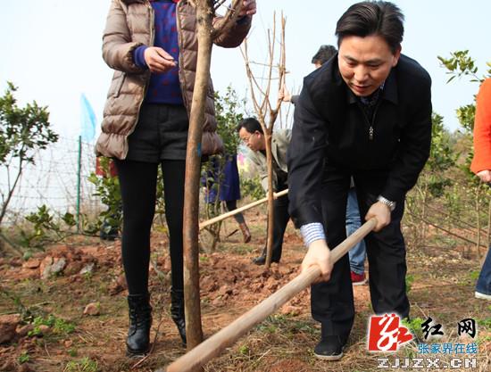 身体力行为城市添绿 永定区550名干部职工义务植树