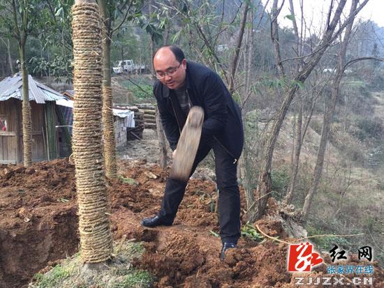 身体力行为城市添绿 永定区550名干部职工义务植树