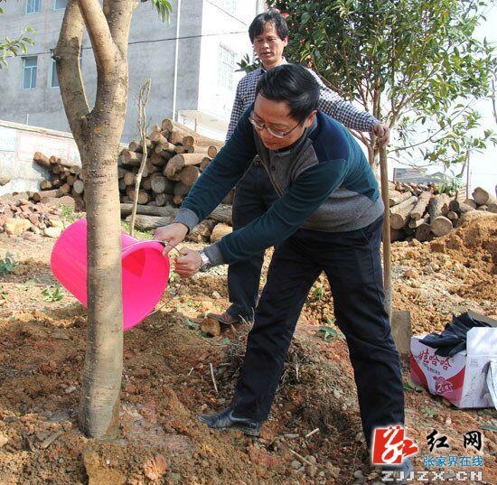 慈利县龙阳公路绿色通道建设添新绿