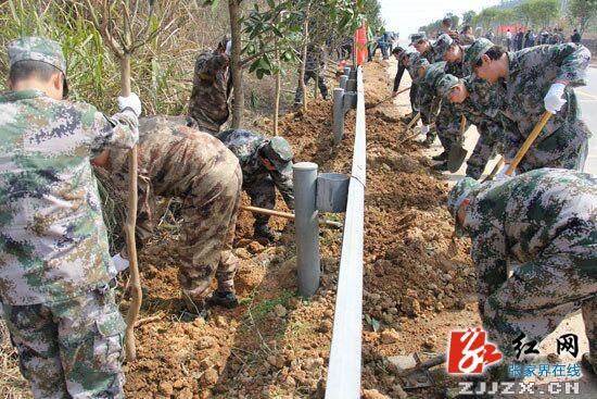 慈利县龙阳公路绿色通道建设添新绿