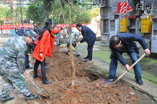 植树节 岳塘区领导为无物业小区“添绿”