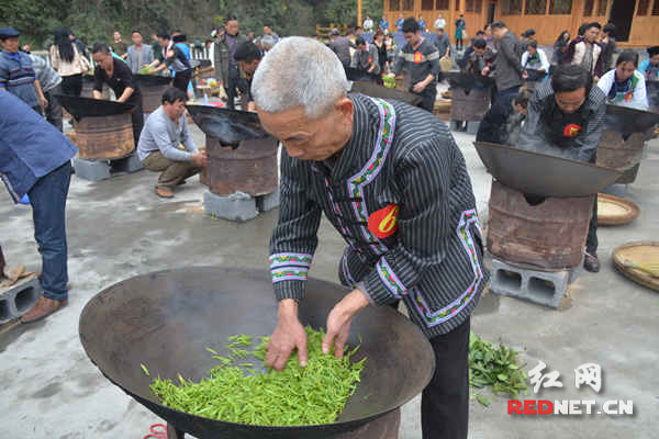 如火如荼的炒茶比赛现场。