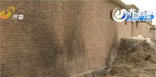 紫梦和邻居男孩玩耍,引燃柴火堆。(视频截图)