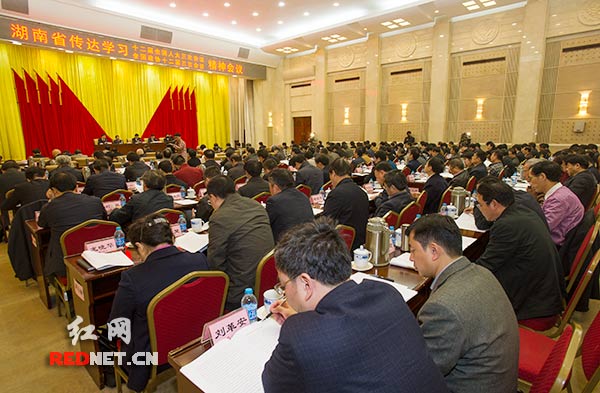 3月17日上午，湖南省传达学习全国两会精神会议在长沙召开。