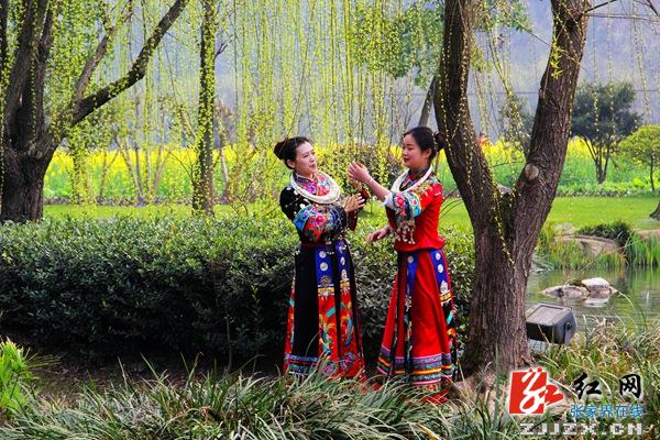张家界黄龙洞景区“油菜妹妹”美若“天仙”