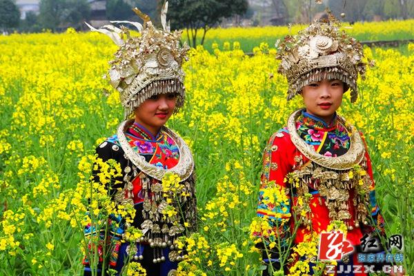 张家界黄龙洞景区“油菜妹妹”美若“天仙”