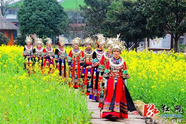 张家界黄龙洞景区“油菜妹妹”美若“天仙”