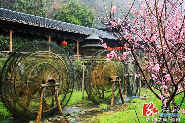 土家妹“点亮”张家界黄龙洞景区 成