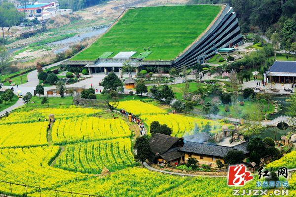 土家妹“点亮”张家界黄龙洞景区 成