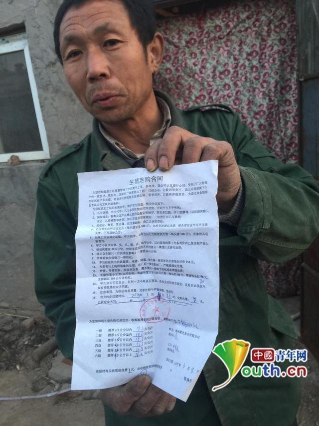 河北山东生猪检疫如虚设 大量病猪流入金锣火腿