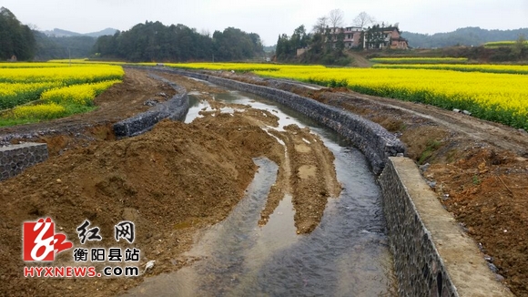 水利部稽查组肯定衡阳县中小河流治理工程项目
