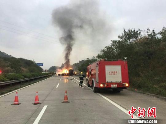 陈家龙 摄