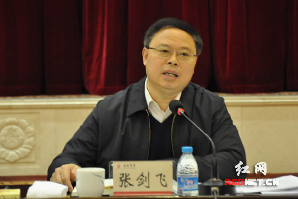 湖南省副省长张剑飞出席并讲话。
