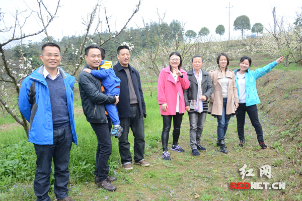 “花开四季·硕果白沙”第二届白沙镇赏花采果活动中，不少市民在梨树丛中合影留念。