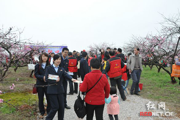 新田国税的宣传小分队在游园活动现场发放税收宣传资料。
