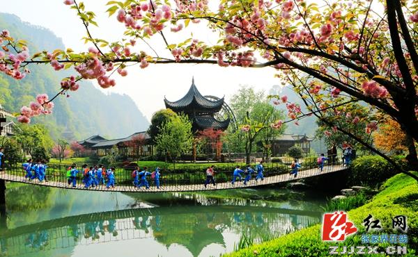 张家界黄龙洞景区春色满园 大批“小麻雀”来踏春