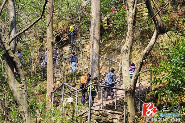 张家界市武陵源区旅游局强练“内功”服务自助游