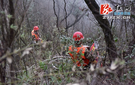 惊险！张家界天门山千米峭壁现“蜘蛛侠”