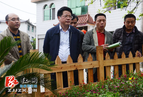 【简讯】杨光荣调研城区及张清公路沿线绿化工作
