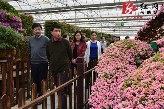 省商务厅副厅长周越来岳塘区调研 为企业“开方”