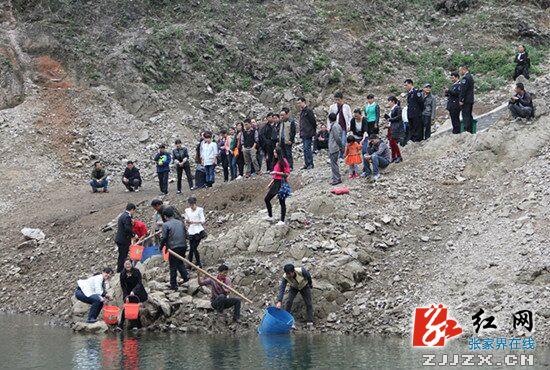 慈利县2万尾鱼苗放流“南山瑶池”