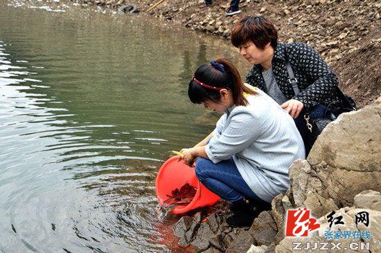 慈利县2万尾鱼苗放流“南山瑶池”