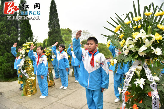 清明不忘先烈 红网张家界站（张家界在线）倡议文明扫墓