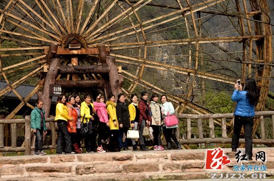 武陵源风景区首季旅游接待全线上扬