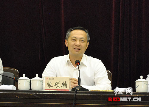 湖南省副省长张硕辅出席会议并讲话