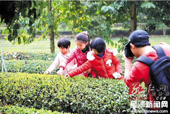 长沙县绿色绩效考核让农业生态型乡镇90%以