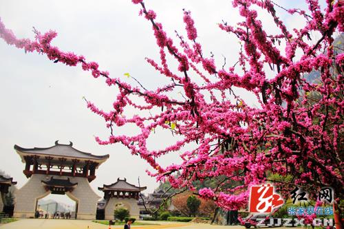 天门狐仙荣获“国家文化产业示范基地”称号