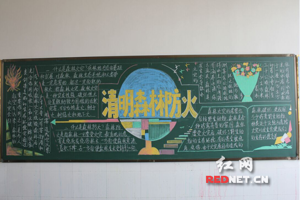 学生办的森防知识黑板报
