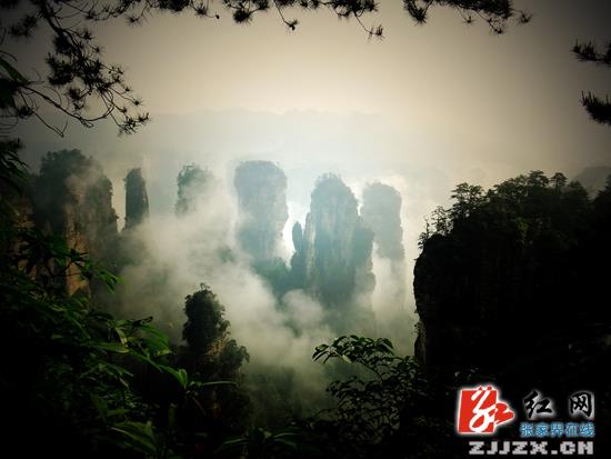 【感恩·清明】清明小长假迎降雨 武陵源景区迎客逾16万人次