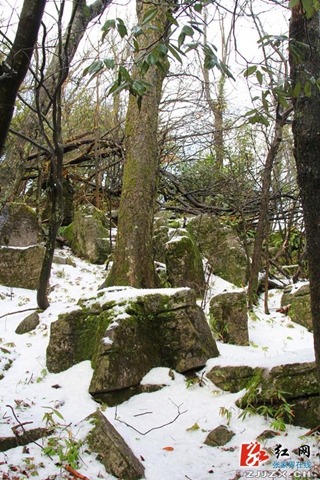 张家界：天门四月天 春雪云海齐露脸