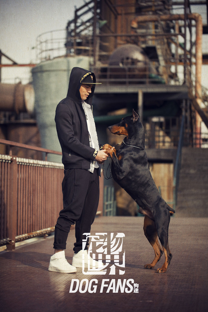 段博文