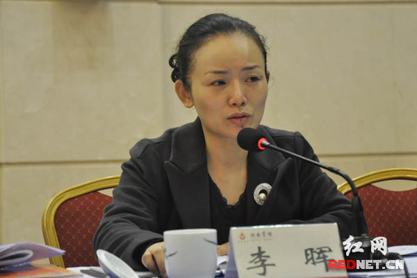 （湖南省文化厅厅长李晖就公共文化服务体系建设问题进行现场答复。）