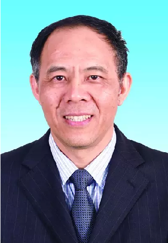 重庆市委常委王显刚兼任万州区委书记（图/简历）