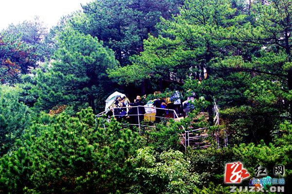 武陵源区实施绿色提质计划  打造“国家森林城市”