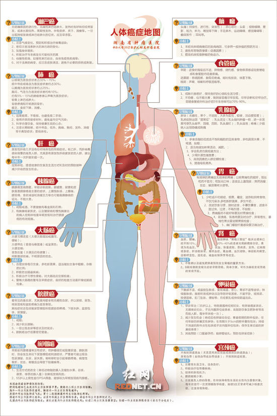 湖南省肿瘤医院推出精心编制的《癌症科普全身挂图》，一张图帮你了解癌症