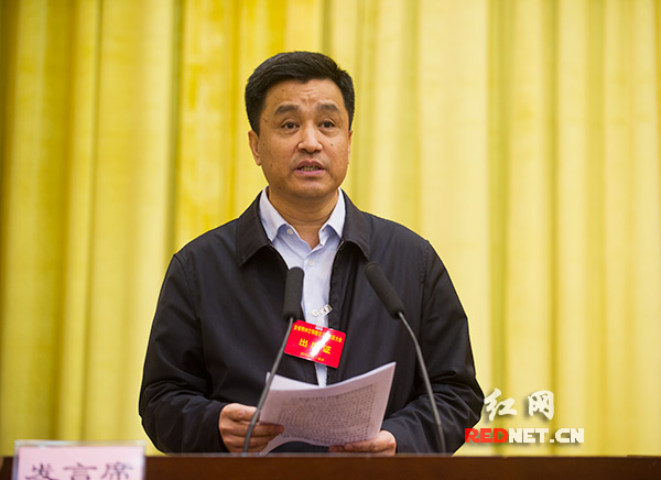 国网湖南省电力公司总经理周安春在大会上发言。